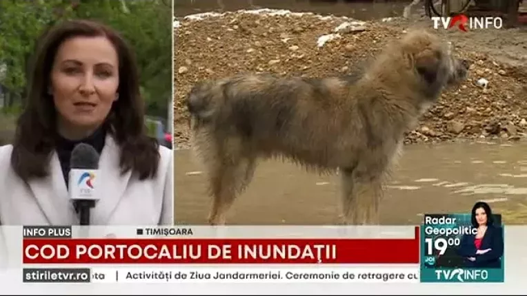 Cod portocaliu de inundatii