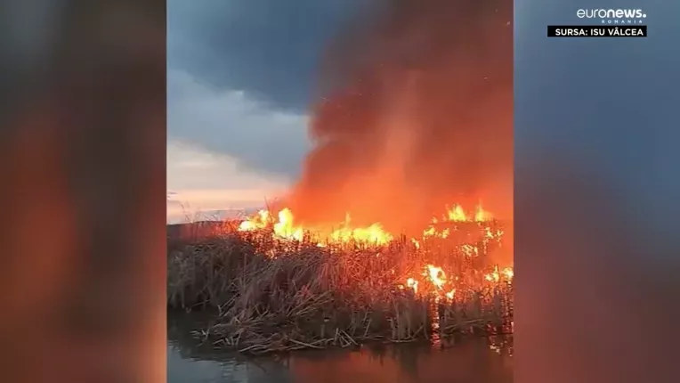 Comisia Europeana: 9 din 10 incendii din Europa sunt provocate de oameni