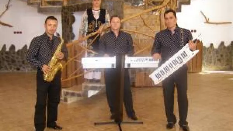 Fiscul cauta lautari