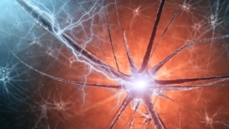 Iluzia liberului arbitru (4)