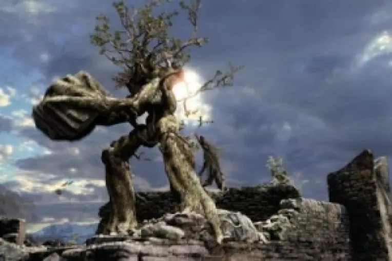 In antichitate, celtii considerau copacii a fi refugii ale unor zeitati sau spirite