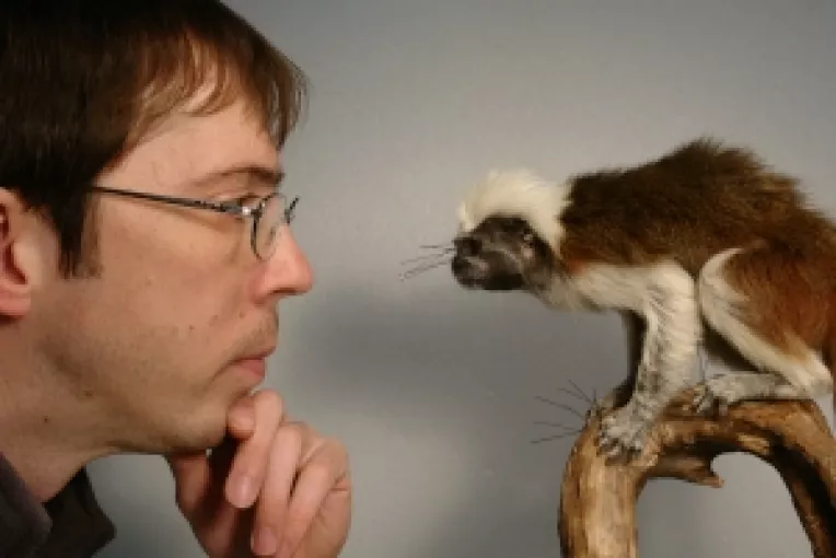 Intersectiile la Antipa