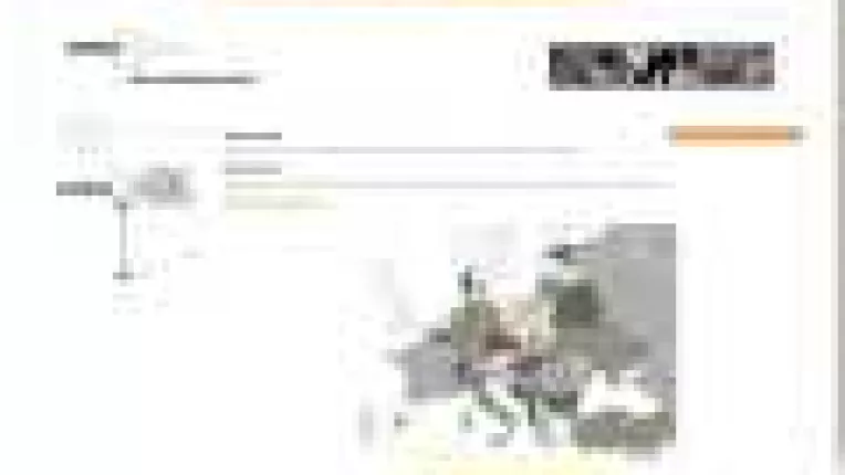 Run Of Category sau mai pe scurt ROC