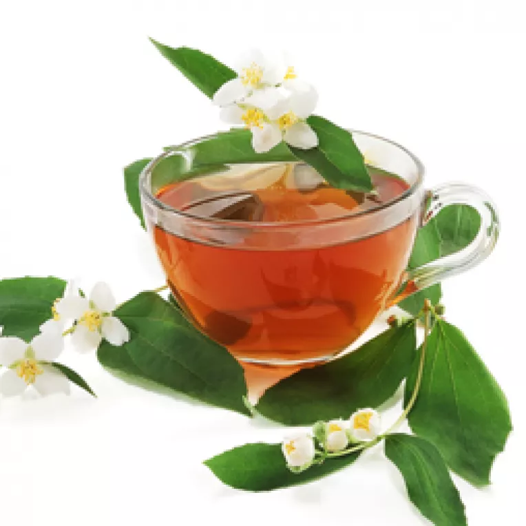 Virtutile sortimentelor de ceai care provin din acelasi arbore: Camelia Sinensis