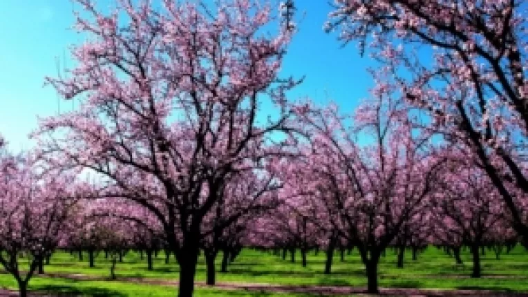 Vremea se incalzeste in tara