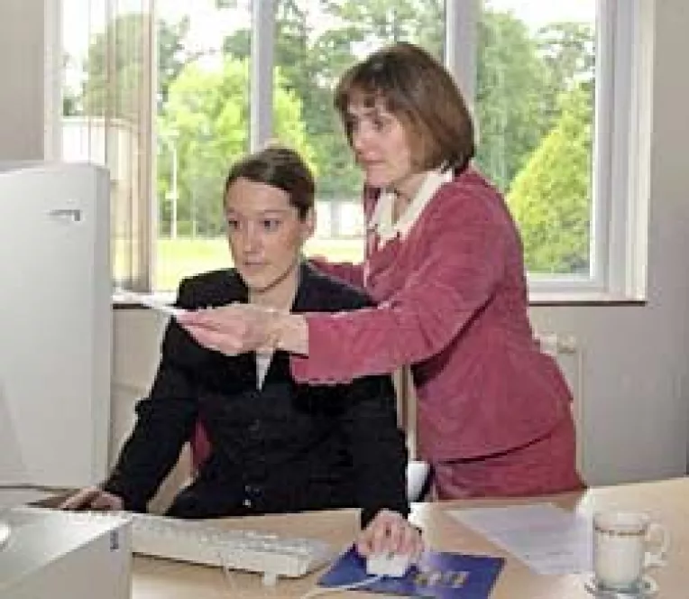 Website-uri de inchiriat la preturi second hand